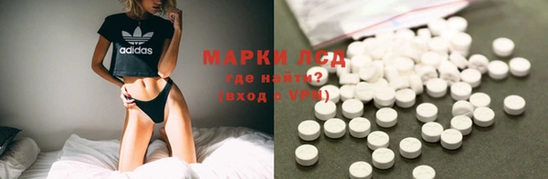прущие грибы Михайлов