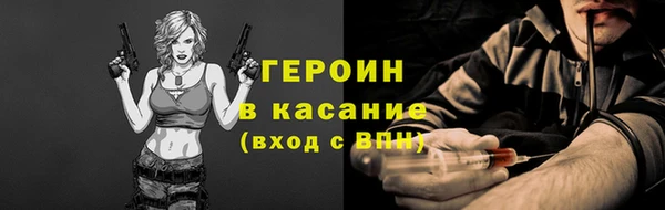 прущие грибы Михайлов