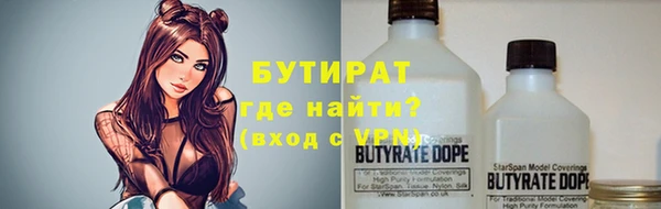 прущие грибы Михайлов
