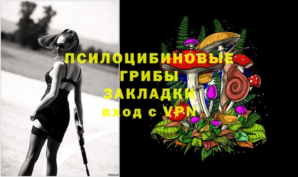 спиды Медногорск
