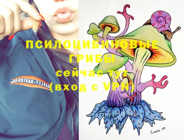 прущие грибы Михайлов