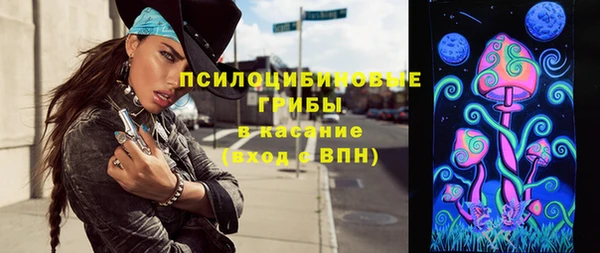 прущие грибы Михайлов